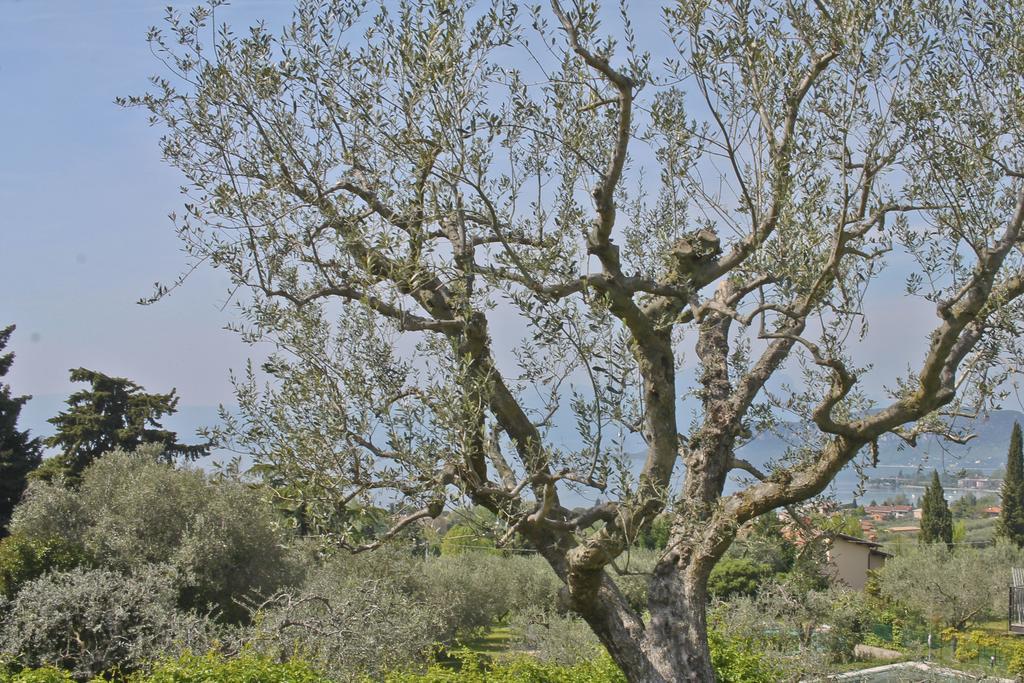 Lovely Villa Elena - Garda Lake Bardolino Exterior photo
